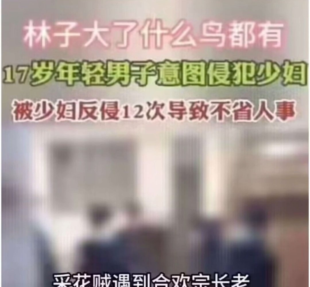 8790代17琳和莉 ​​​
