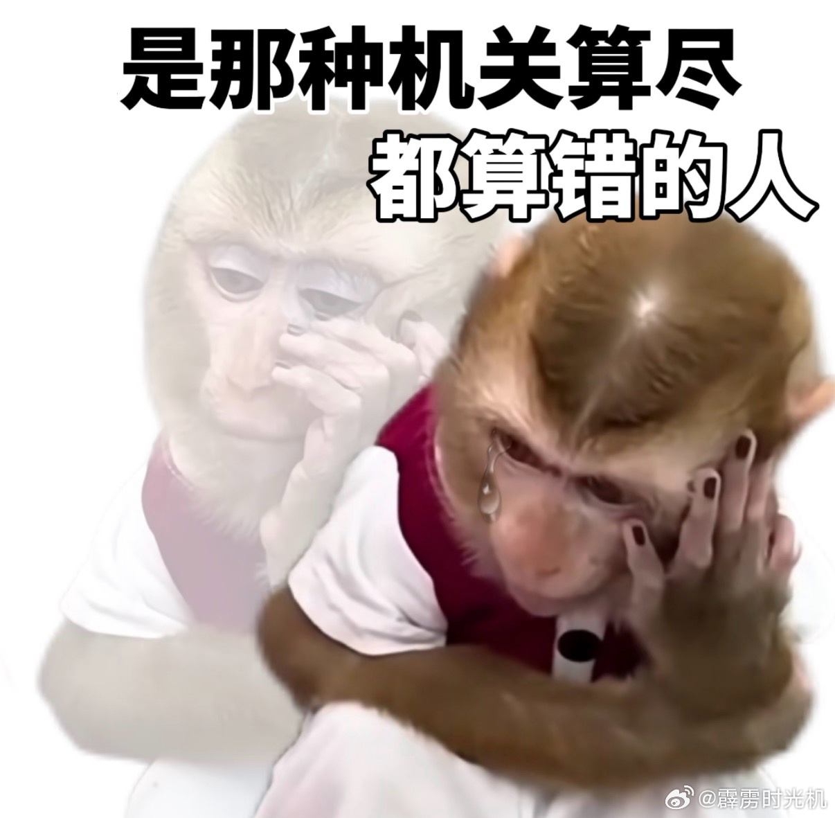 小聋人每到换季就念叨你快买衣服买鞋。我说每天都逛但就是不好看没有想买的欲望。他说