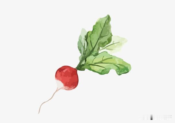 菜叶子为啥这么火？
我猜是智能客服当老板。
不管是萝卜缨还是芹菜叶，发到头条，呼