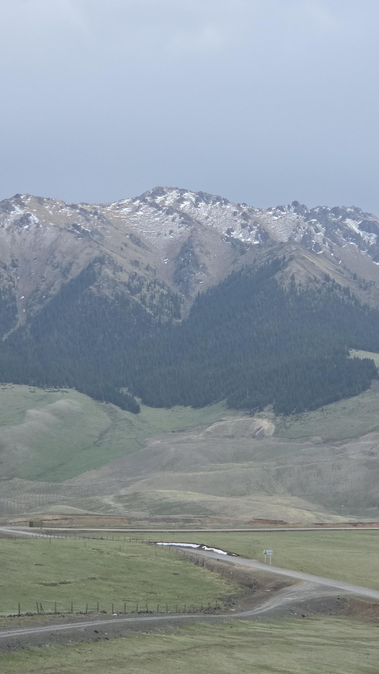 分享一张你在新疆的照片天山一山三色，山顶白雪，中间山体本色，下面郁郁葱葱。[呲牙