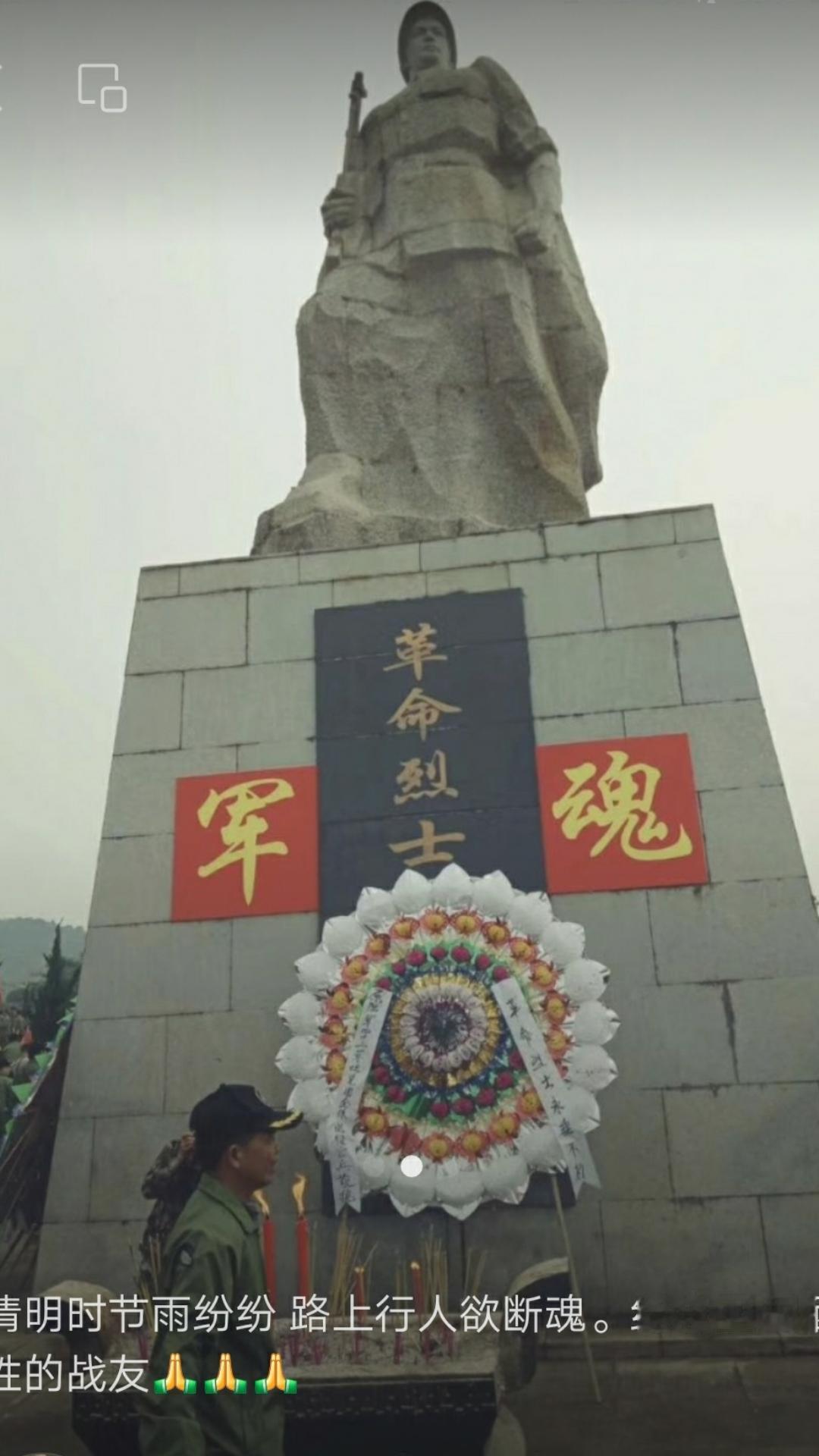 （木棉花开忆英烈，浩气长存天地间。）记全国参战老兵，清明节到云南广西烈士陵园，为