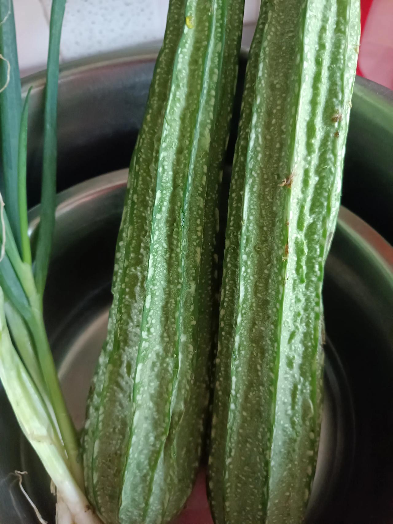 今天买的菜
简单清淡
知足常乐
哈哈，上午好
[点亮平安灯][点亮平安灯][爆竹