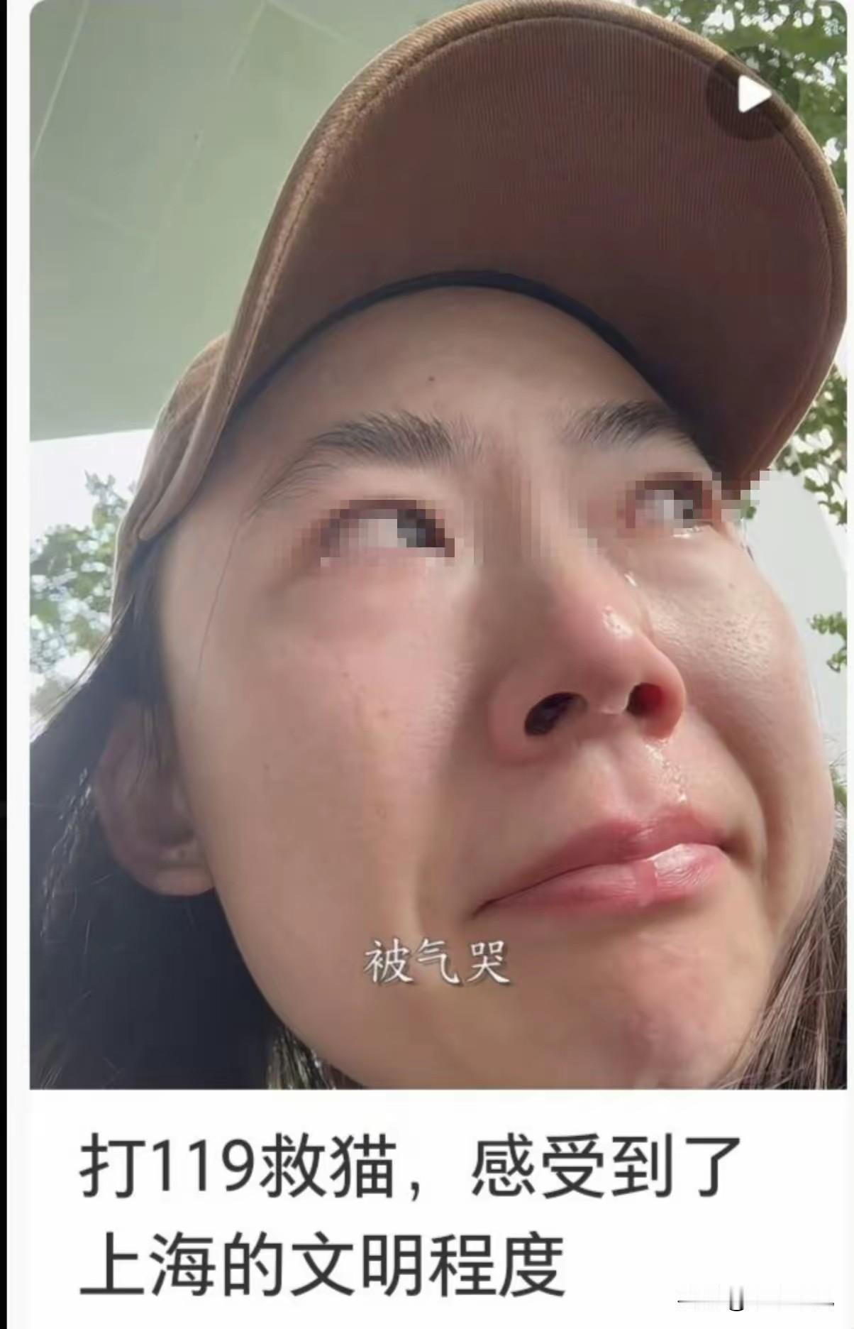 圣人：这只流浪猫有危险，我要去救它！
圣母：这只流浪猫有危险，你们要去救它！
最