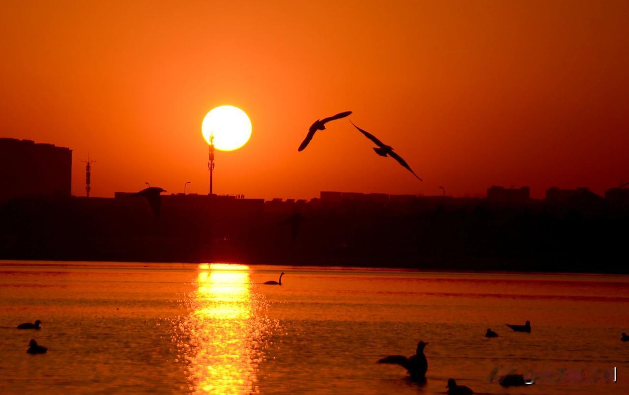 落日余晖
分享一张海边日落照落日余辉美景 
唯美夕阳随拍