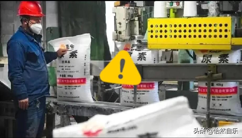 印度农民遇上尿素不够，急得像热锅上的蚂蚁，地里庄稼等着长，化肥却买不着。大家也没