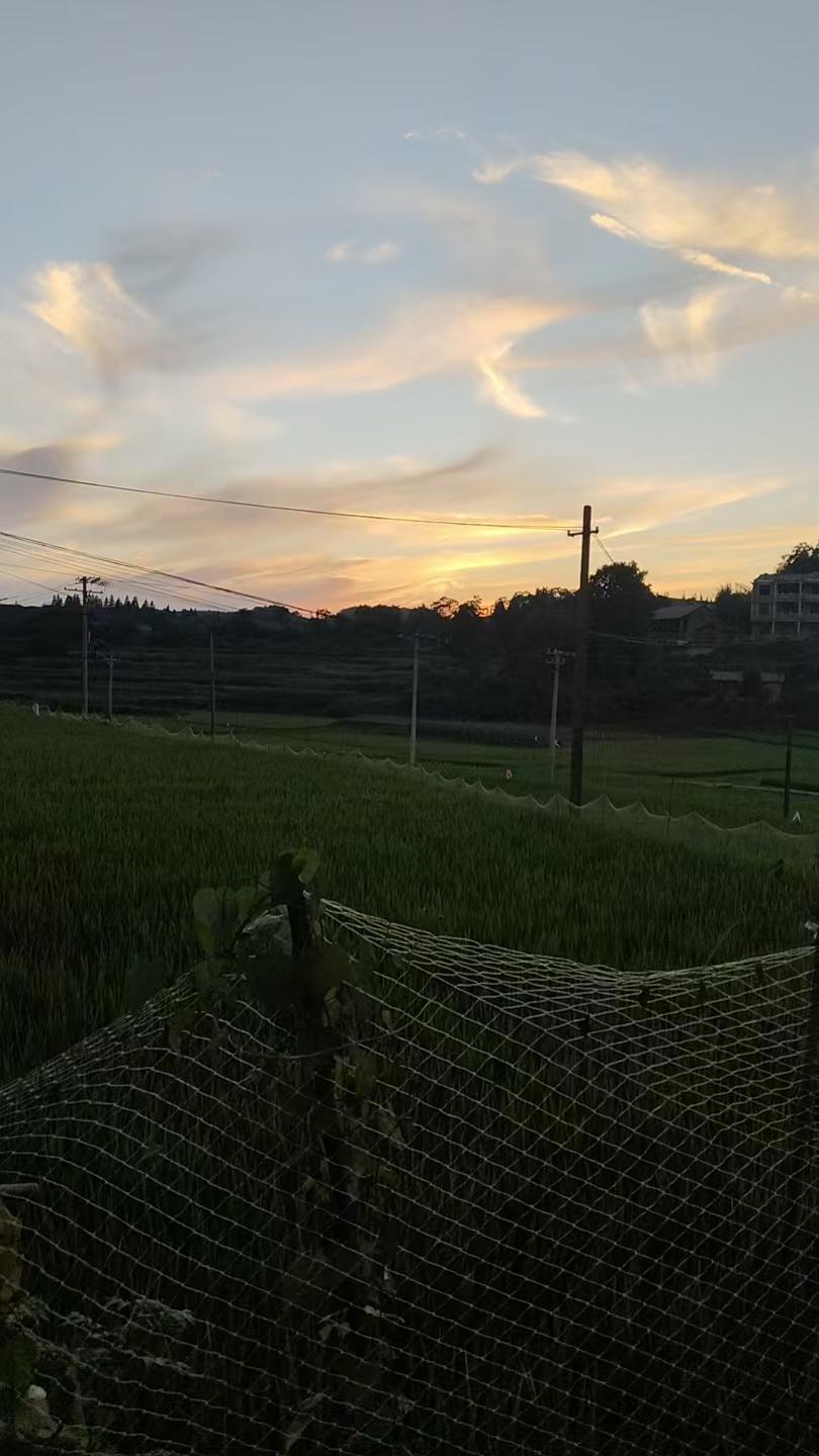 这是我晚饭额散步时抓照的日落后的天空乡村美景