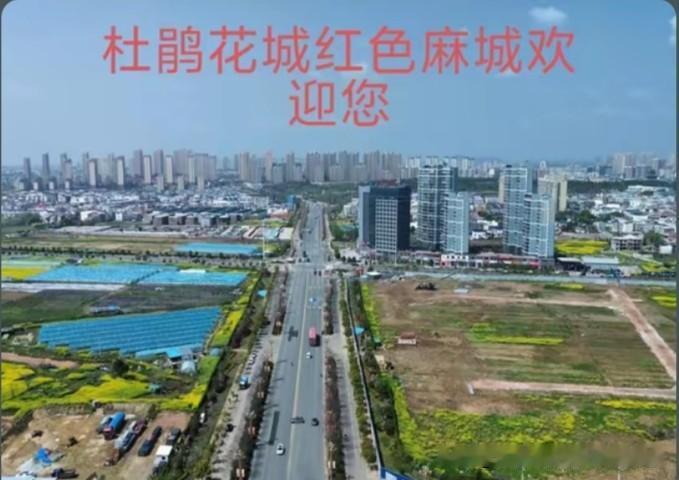 时值2026年夏天，作为一个土生土长的湖北麻城人，一直生活在这个湖北大别山地区的