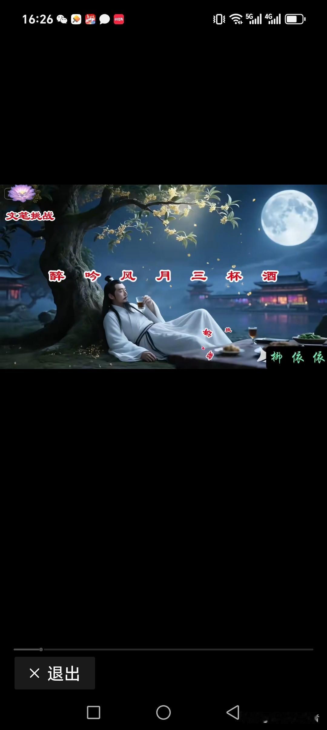 醉吟风月三杯酒
畅饮清辰满月色