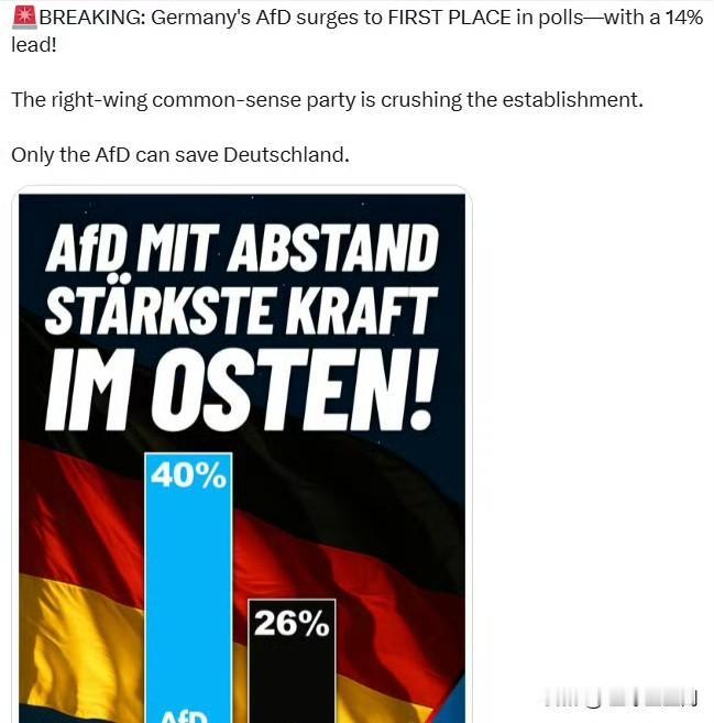 德国的“德国选择党”（AfD）在民调中处于第一名——领先14个百分点！

这支右
