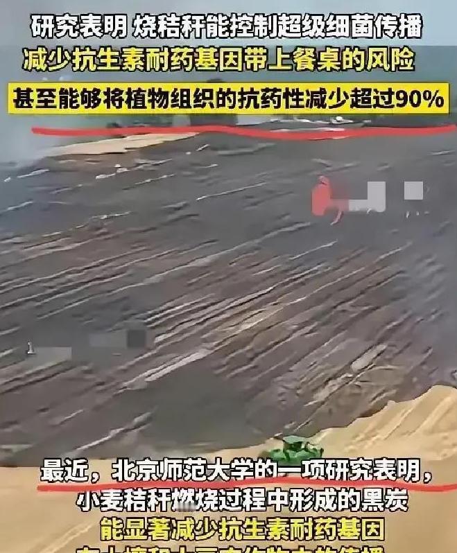 谁能想到？过去因“制造雾霾”被各地严令禁止、农民烧了就要挨罚的秸秆焚烧，如今竟爆