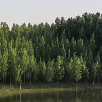 每日一善 ✨阳光信用 「☀️极好❼❽❹」想涨ygxy的可以来和我互动与极好的人互