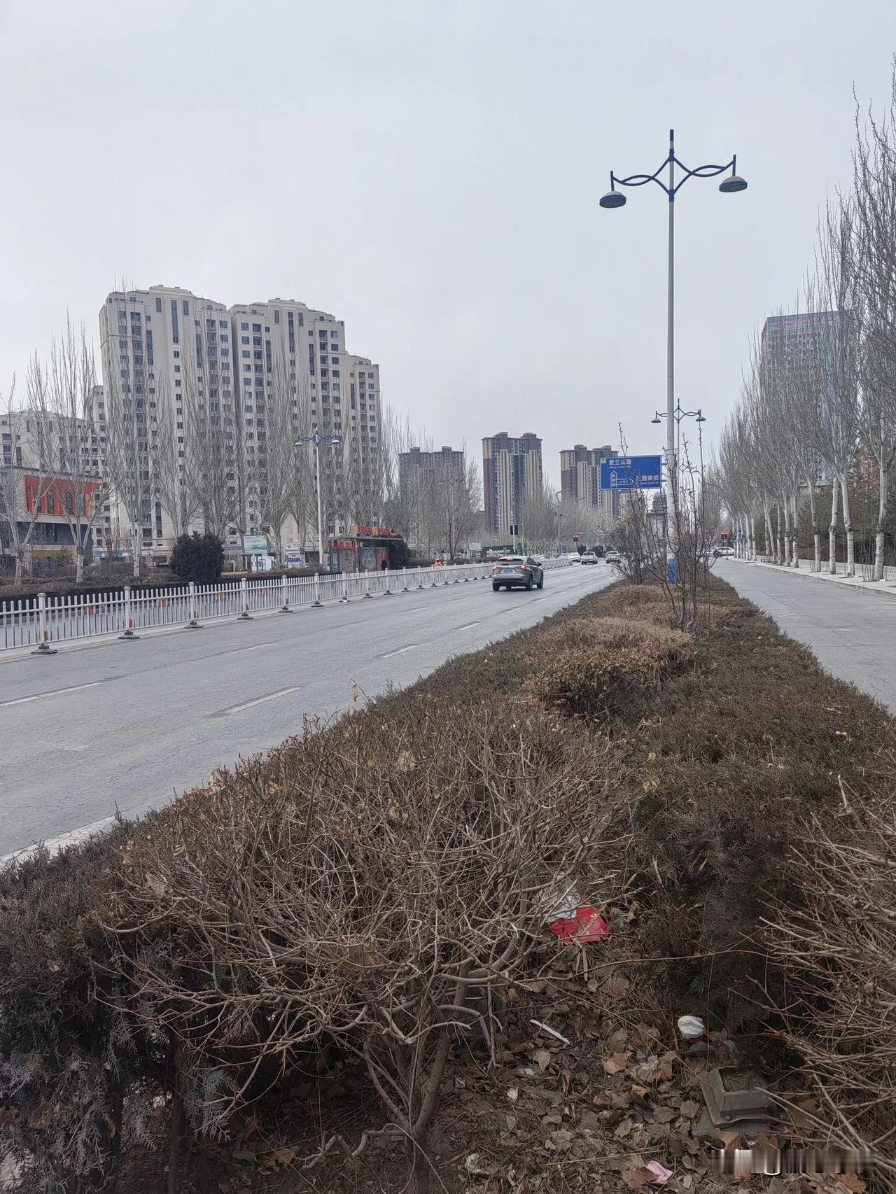 20250219我的行走札记
多云，银川，雪终于还是错过了，似曾多少个日子，来过