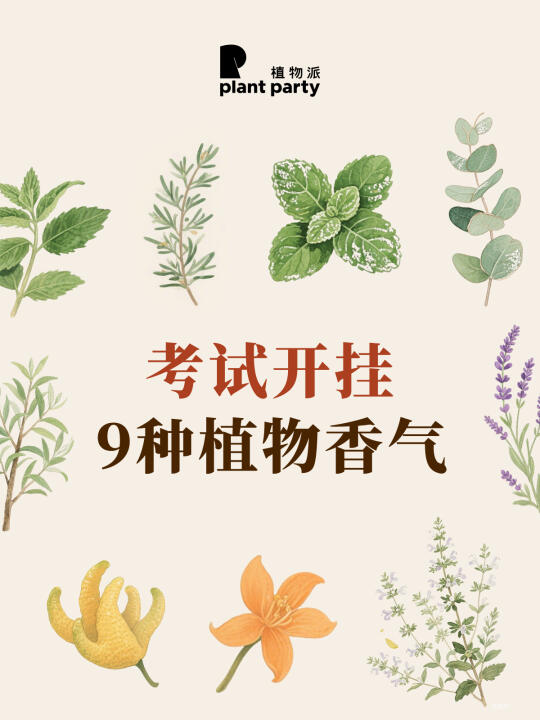 考试开挂💕植物合集🔥