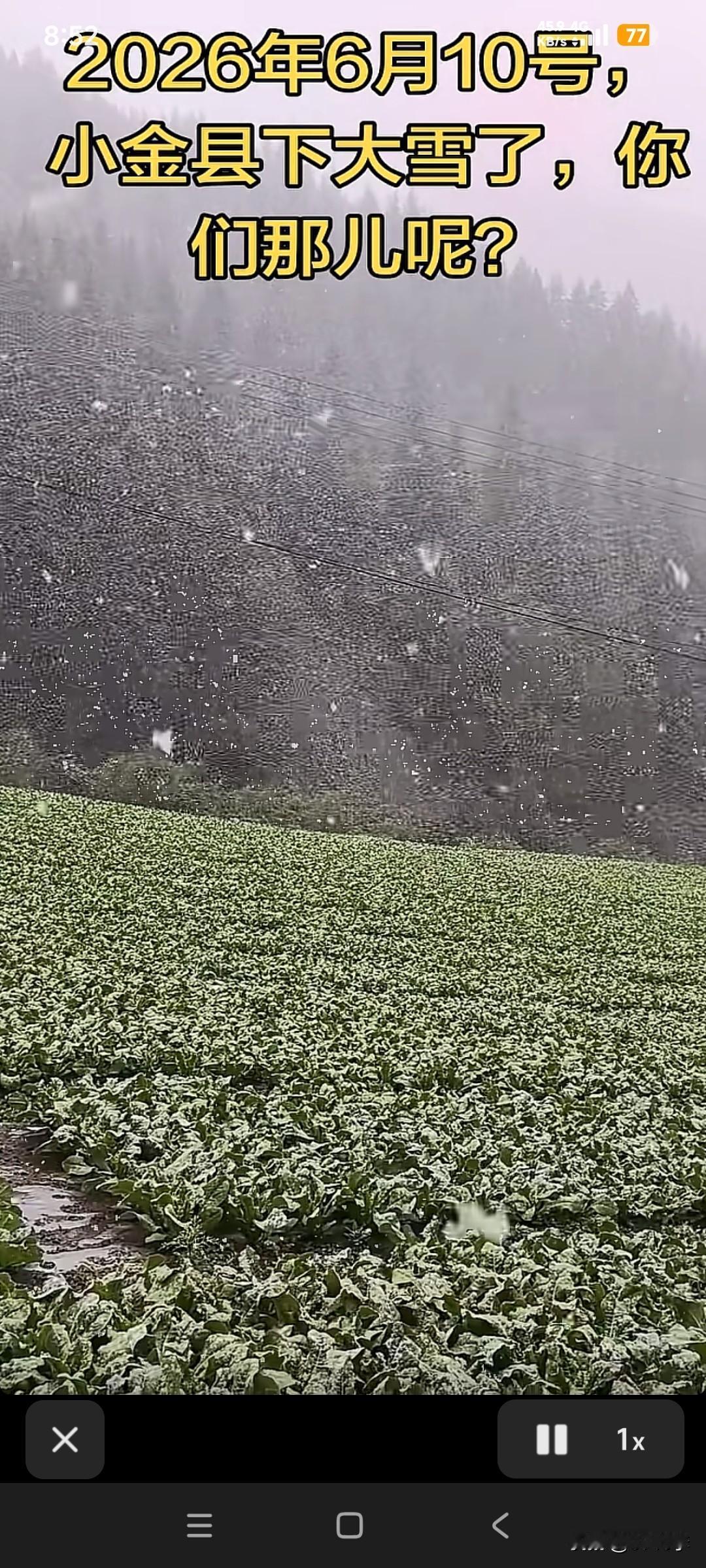 六月飞雪不知真假？