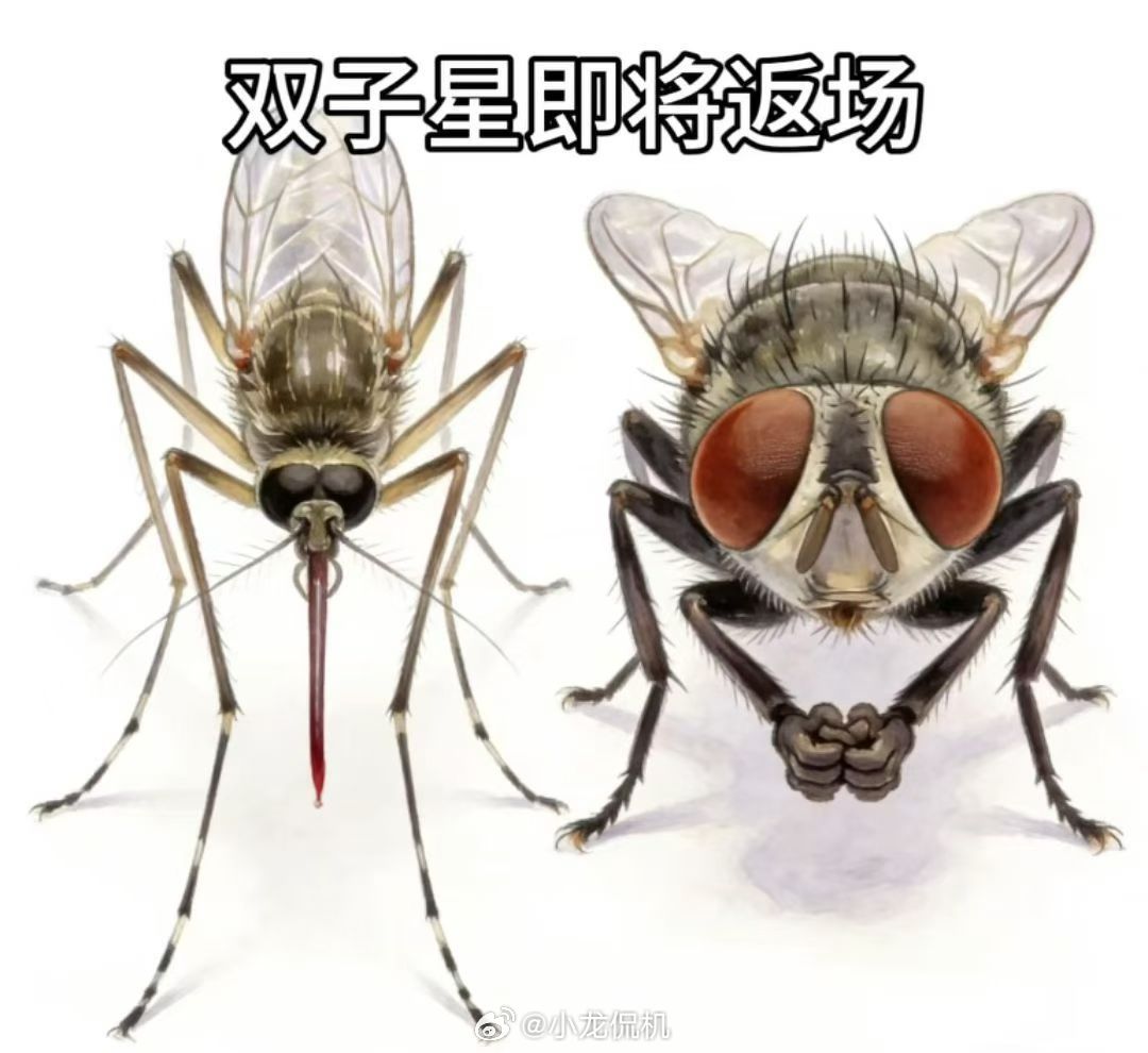 又是一年315 ，期待今年会盘点会哪些雷。希望自己不中雷，反正我感觉我没少中