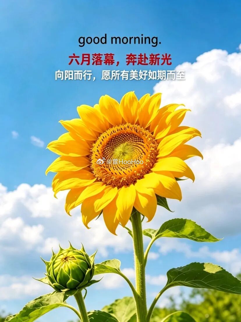 ²⁰²⁶/₀₆.₃₀ᵕ̈ 六月的最后一天，把烦恼清空，把快乐装满，迎接美好的七月