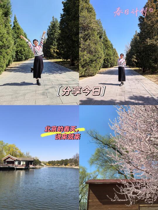 最近的日常