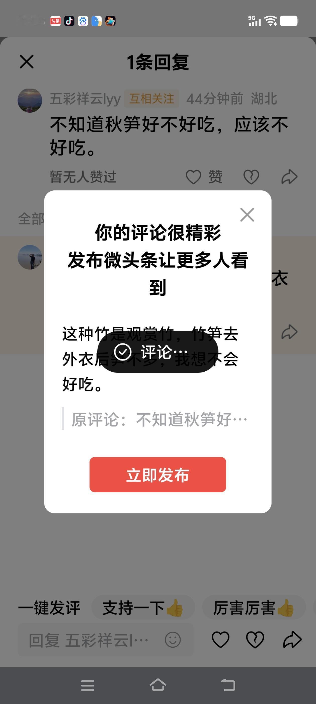 这种竹是观赏竹，竹笋去外衣后笋不多，我想不会好吃。