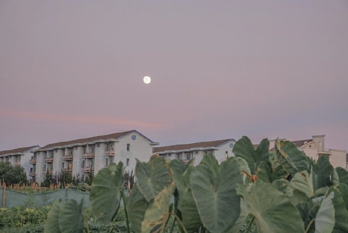 这些年最对不起的就是自己，将就这个，顾及那个，唯独委屈了自己，最后变成了一个随时