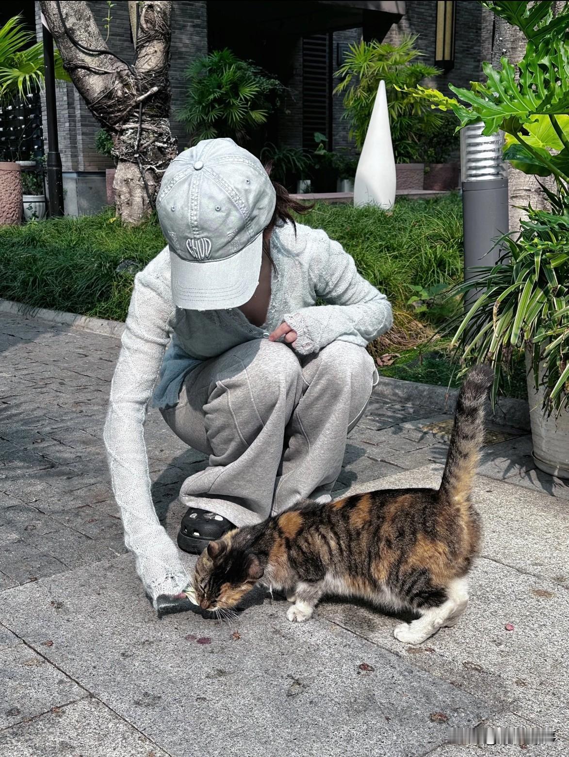 你们知道吗？
猫咪不会“讨厌”你
只是用它的方式表达在意

很多人觉得猫咪高冷，