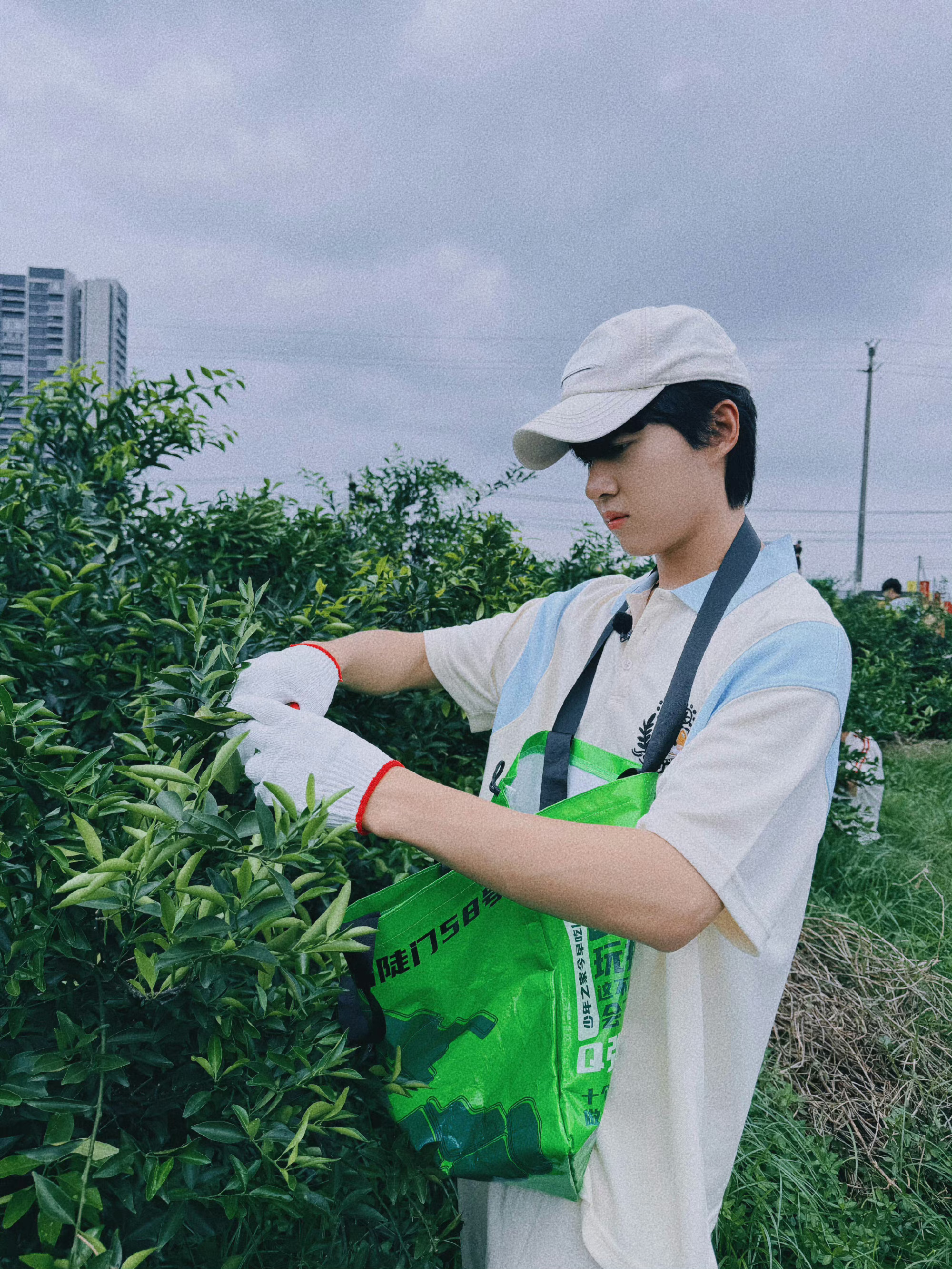 #卓沅摘青柑#卓沅认真摘青柑的样子好帅！还和兄弟们拍了合照，是热爱生活的卓沅呀[