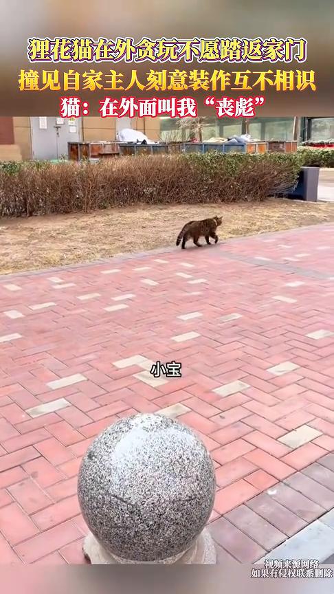 乖。