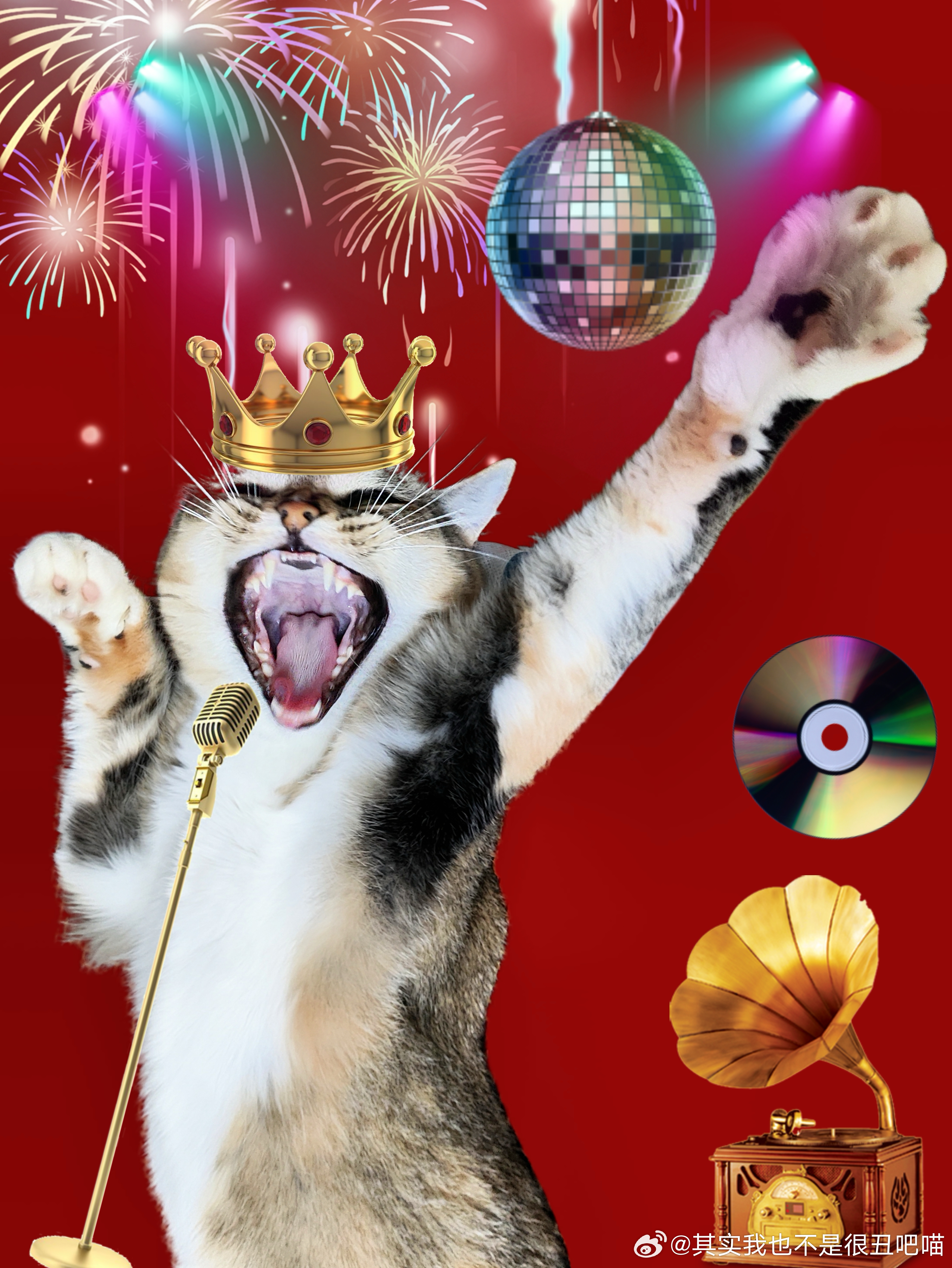 49700【丑猫】disco咪 