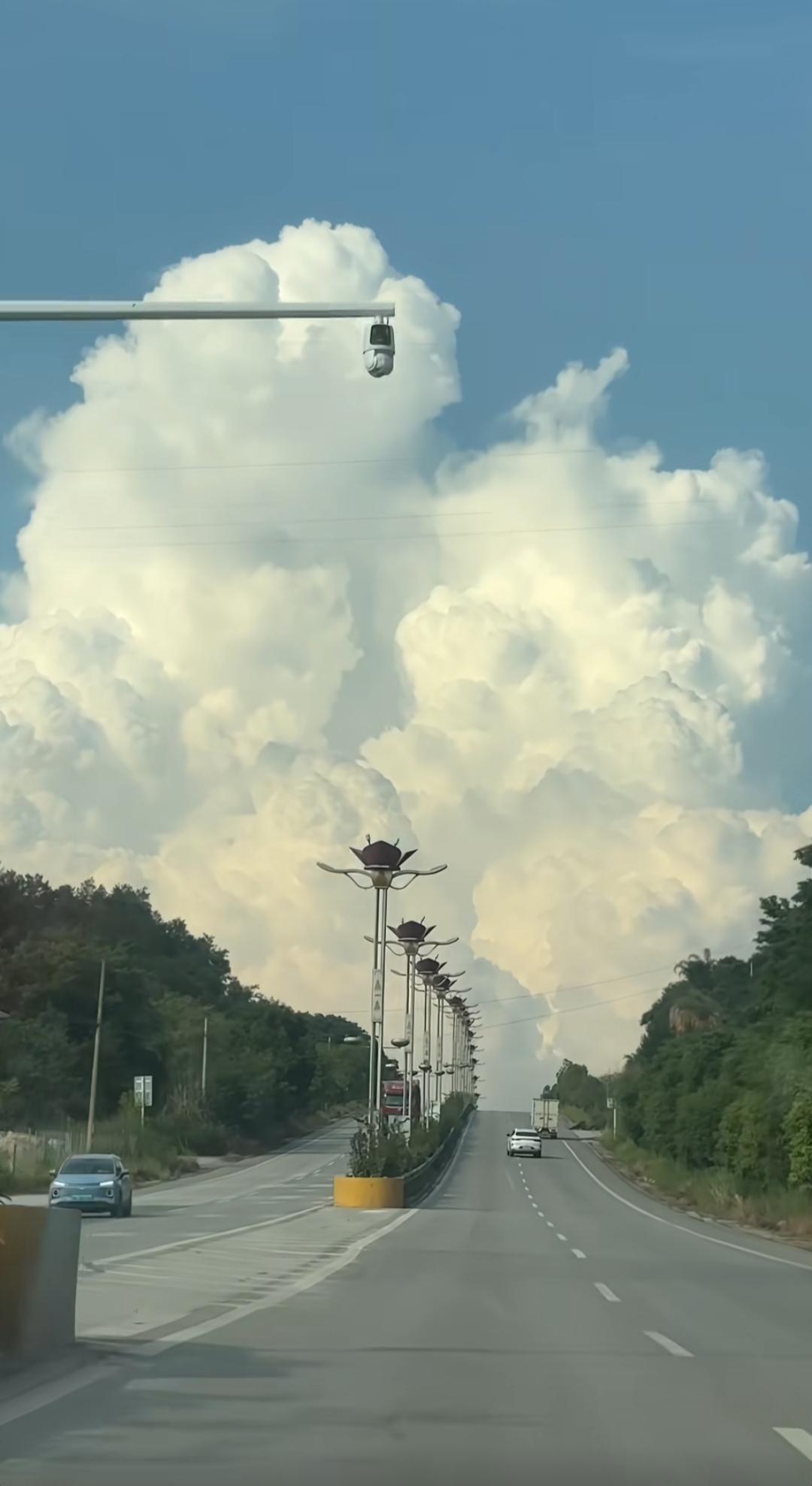 蓝天白云下的公路，车流如织，绿树成荫，一路风景美不胜收。🌤️🚗🌳80辛苦了