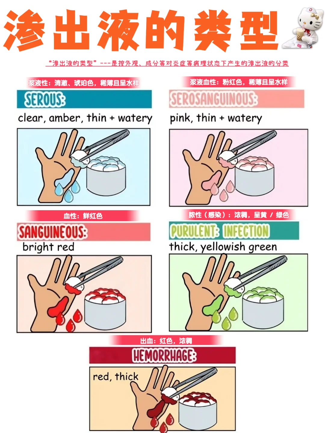 备考RN/渗出液的类型！！学！！内容