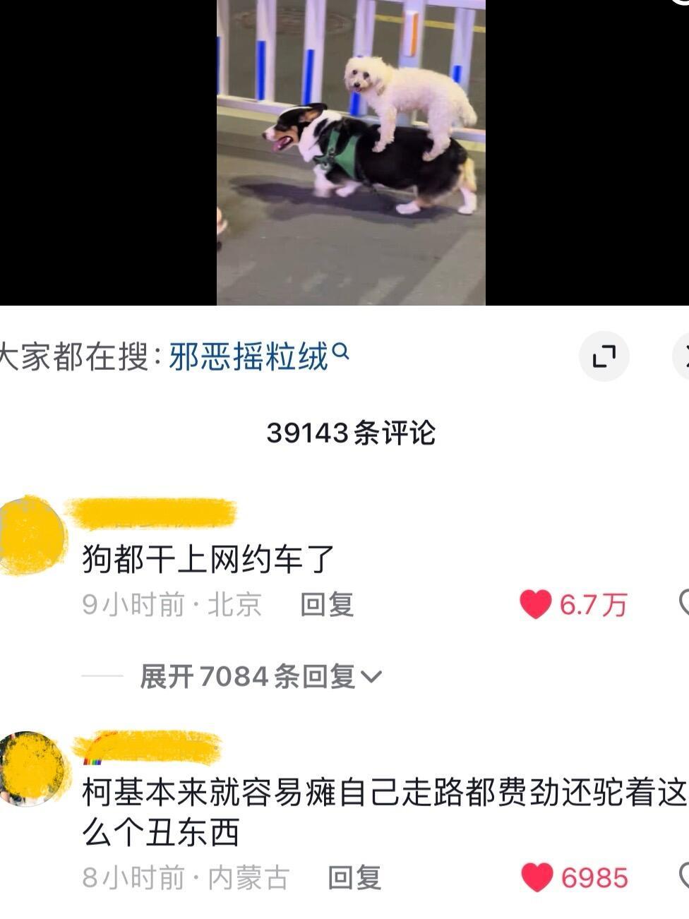 笑得我在床上扭成麻花！哈哈哈哈哈 ​​​