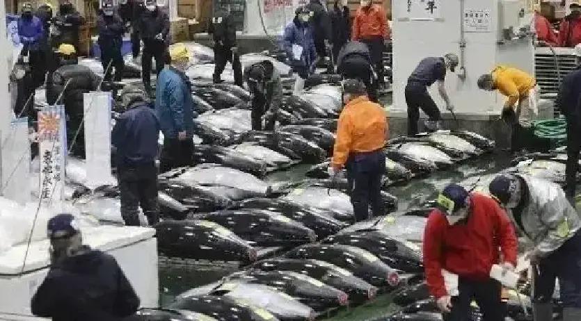 果不其然。
 
中国方面突然宣布了暂停进口日本水产品的安排。
 
先把时间往前挪