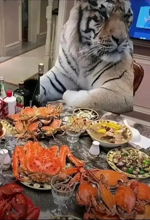 今天请这两个家伙吃饭，喝了一晚上酒一句话都不说，我在想是不是菜不合它们胃口[抠鼻