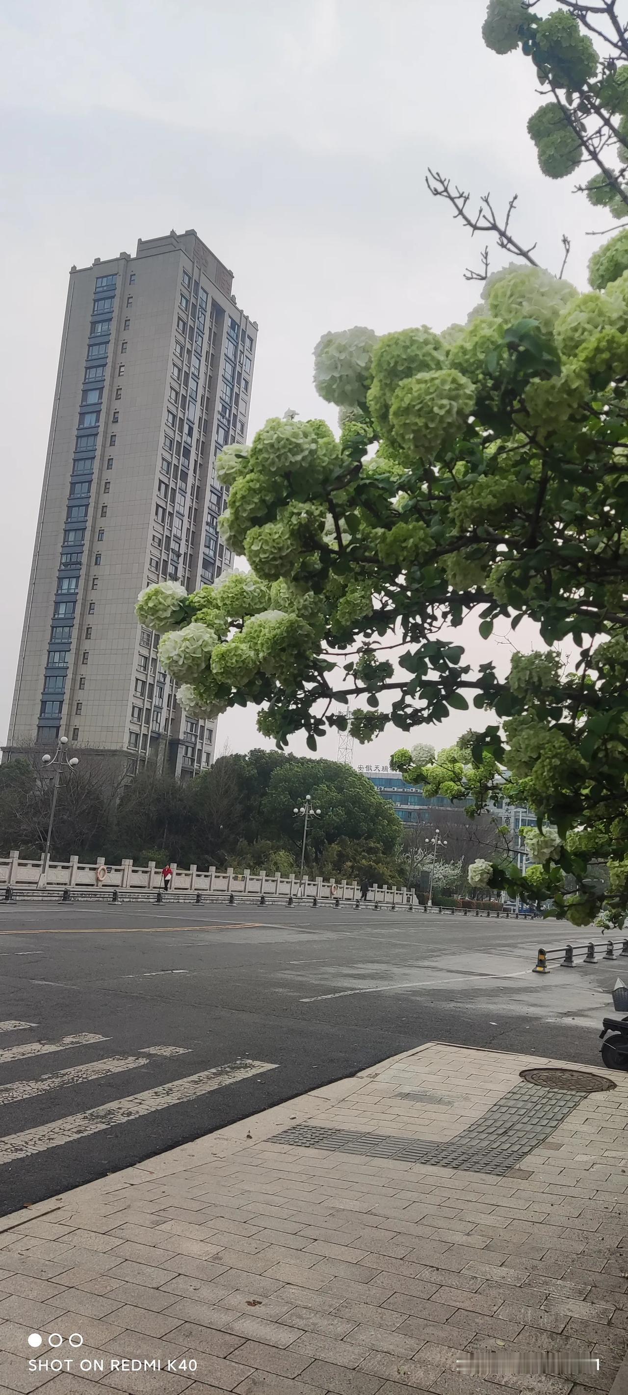 你喜欢哪些有襟怀、有境意的诗人。。。
——在你的头条师友中。。。

嗯，我来头条