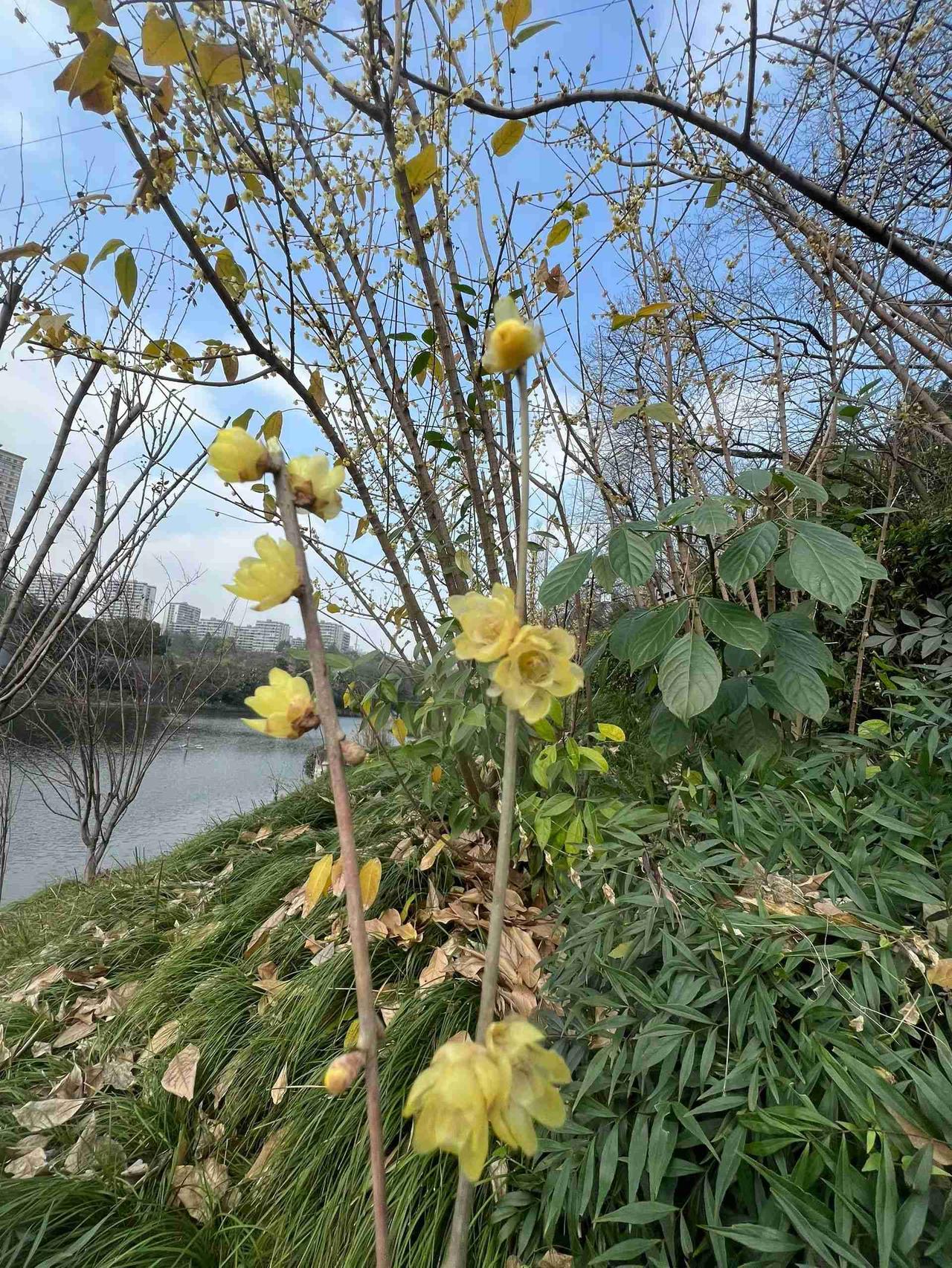 你不需要活成别人期待的样子，你只需要活成自己喜欢的样子。

带定位晒今日生活
我