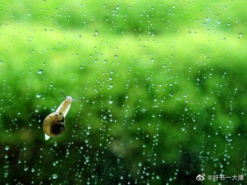 自己生活贫乏的人，才喜欢刺探别人的私事。——张爱玲 好书一大摞的橱窗