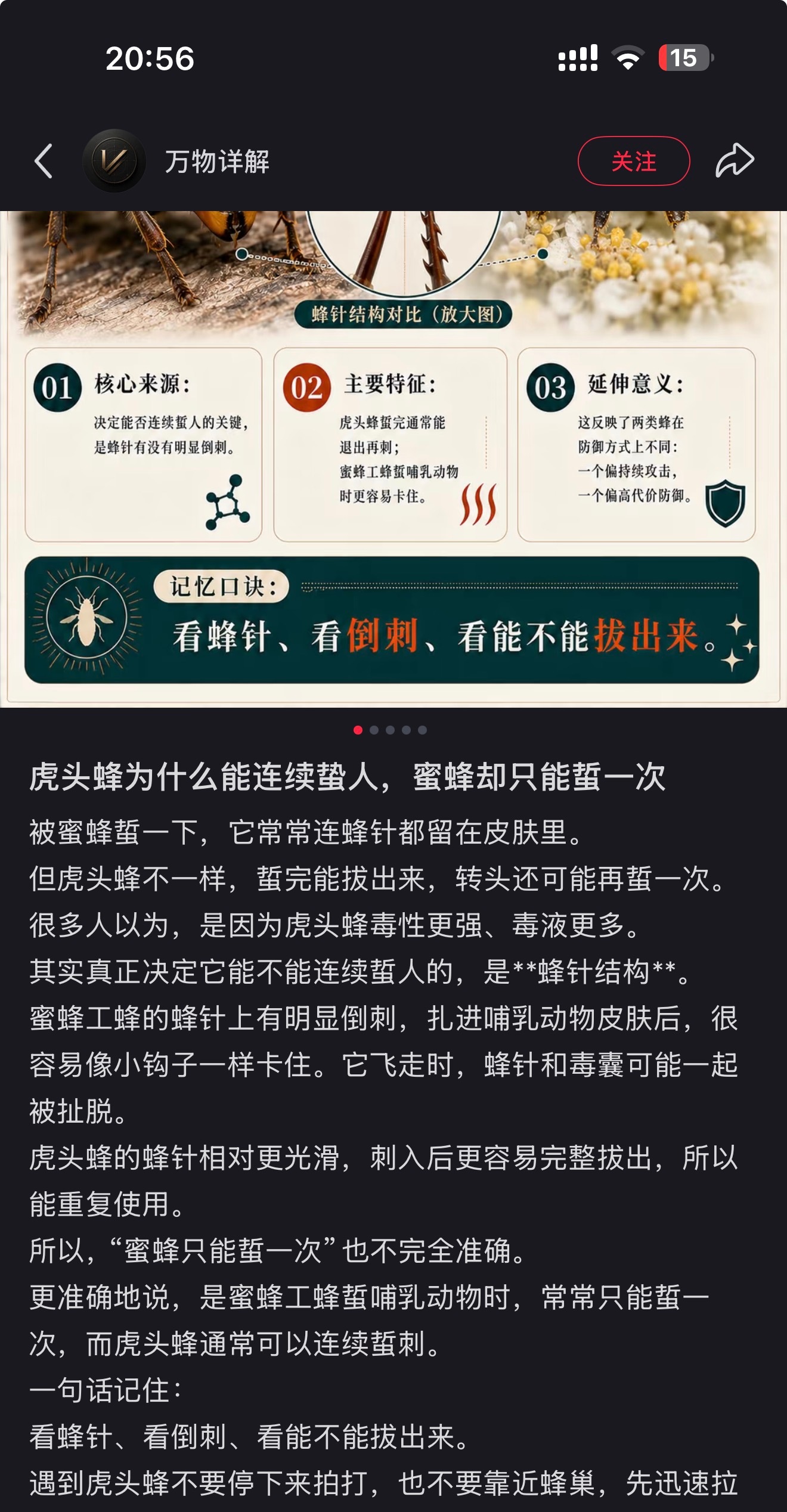 真就有捅蜂窝的屁孩儿呢但是能蜇全身我也很纳闷，平时都是一两个包，这回起码2-30