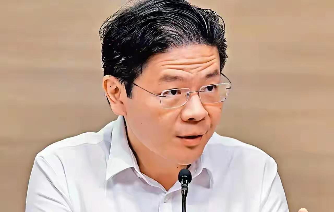 越南网友指出，原本以为高市那番言论只会激起中国网民的不满，不料整个东南亚华人群体