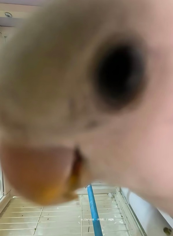 在泰国留学有一个好处，就是可以非常没有心理负担的邀请所有认识的人来玩。如果在欧美