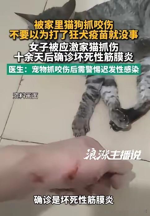 8月7日报道陕西西安，一女子被家猫抓出血，全程规范打完疫苗、伤口快速结痂后本以为