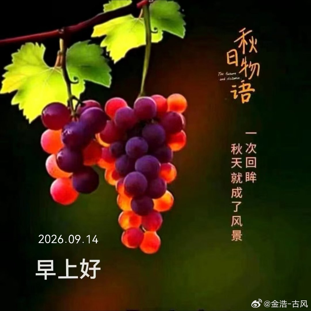 周一早安！新的一周元气开场，愿好运和你撞个满怀☀️  ​​​