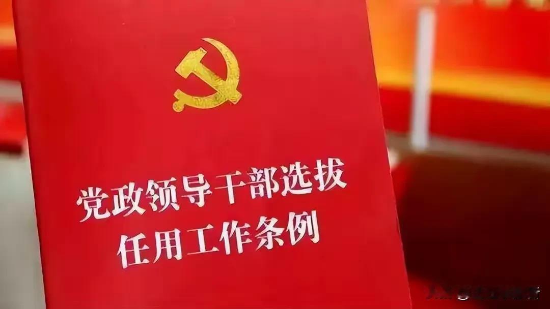 什么时候可以畅通民营企业高级经理人可以跨界担任地方政府部门负责人，那么地方政府的