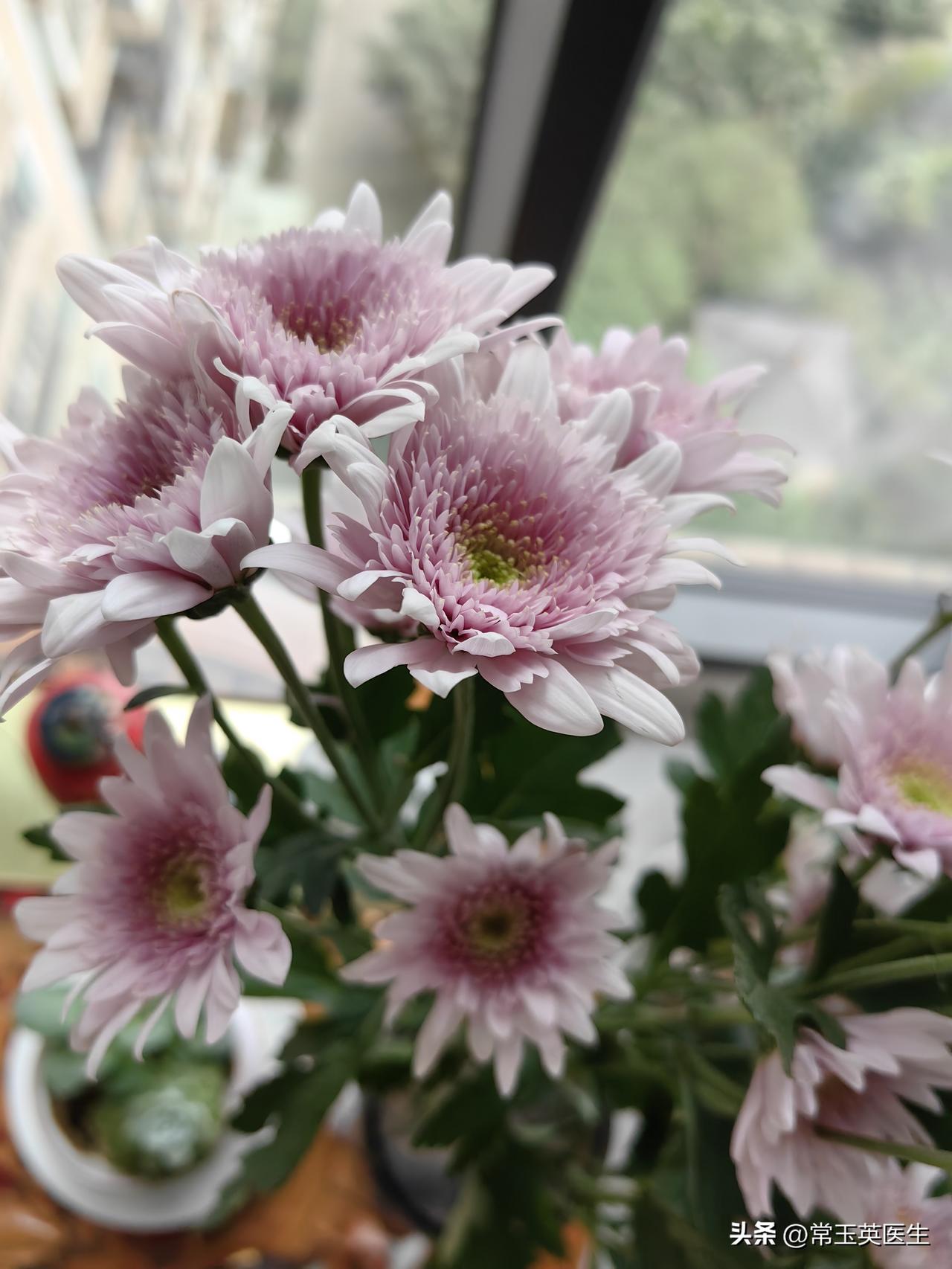 AI也是真的存在，并逐渐深入生活工作的方方面面，能说是假的吗？