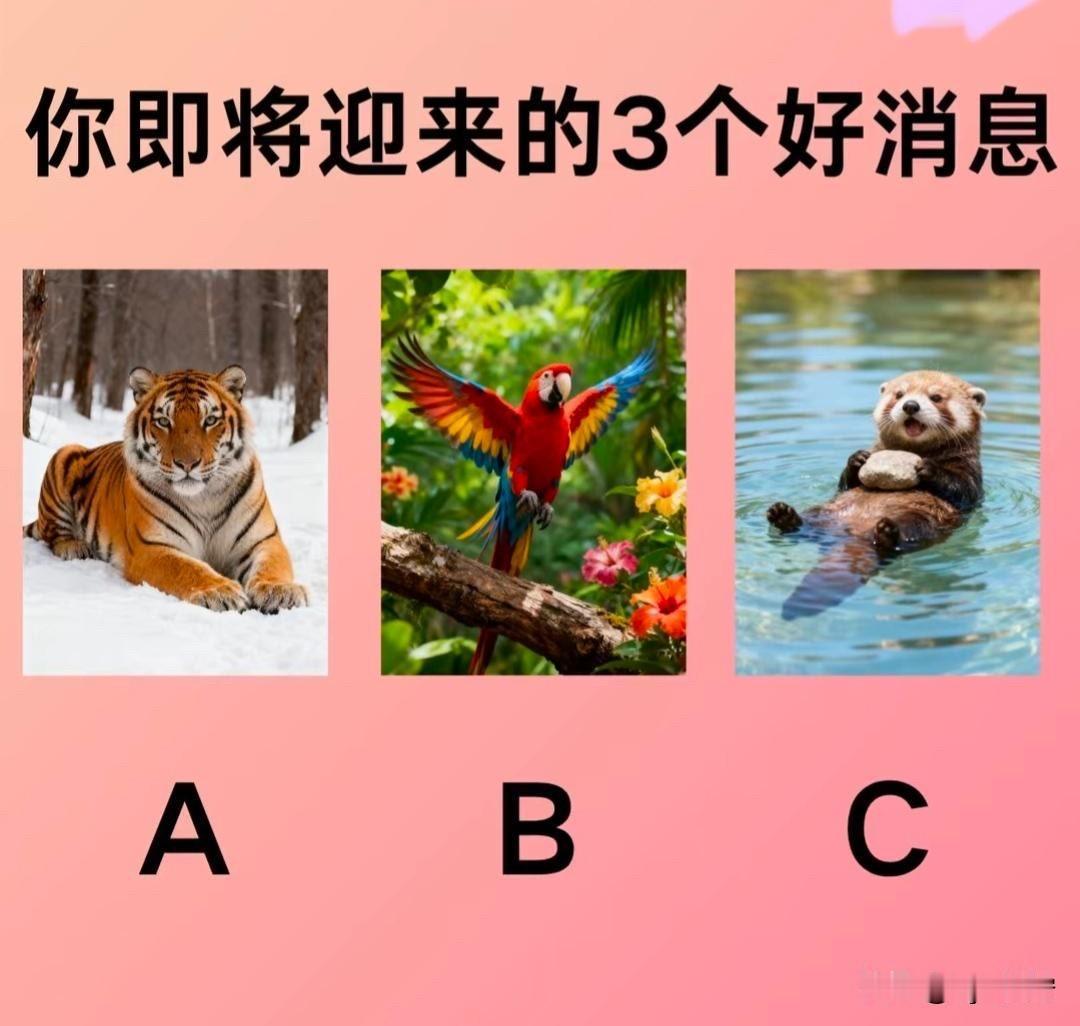 晒图笔记大赛你即将迎来的3个好消息