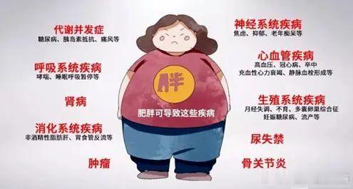 【科学减肥要注意调养气血】健康科普中医养生说很多肥胖的人都对“吃”爱恨交加，一方