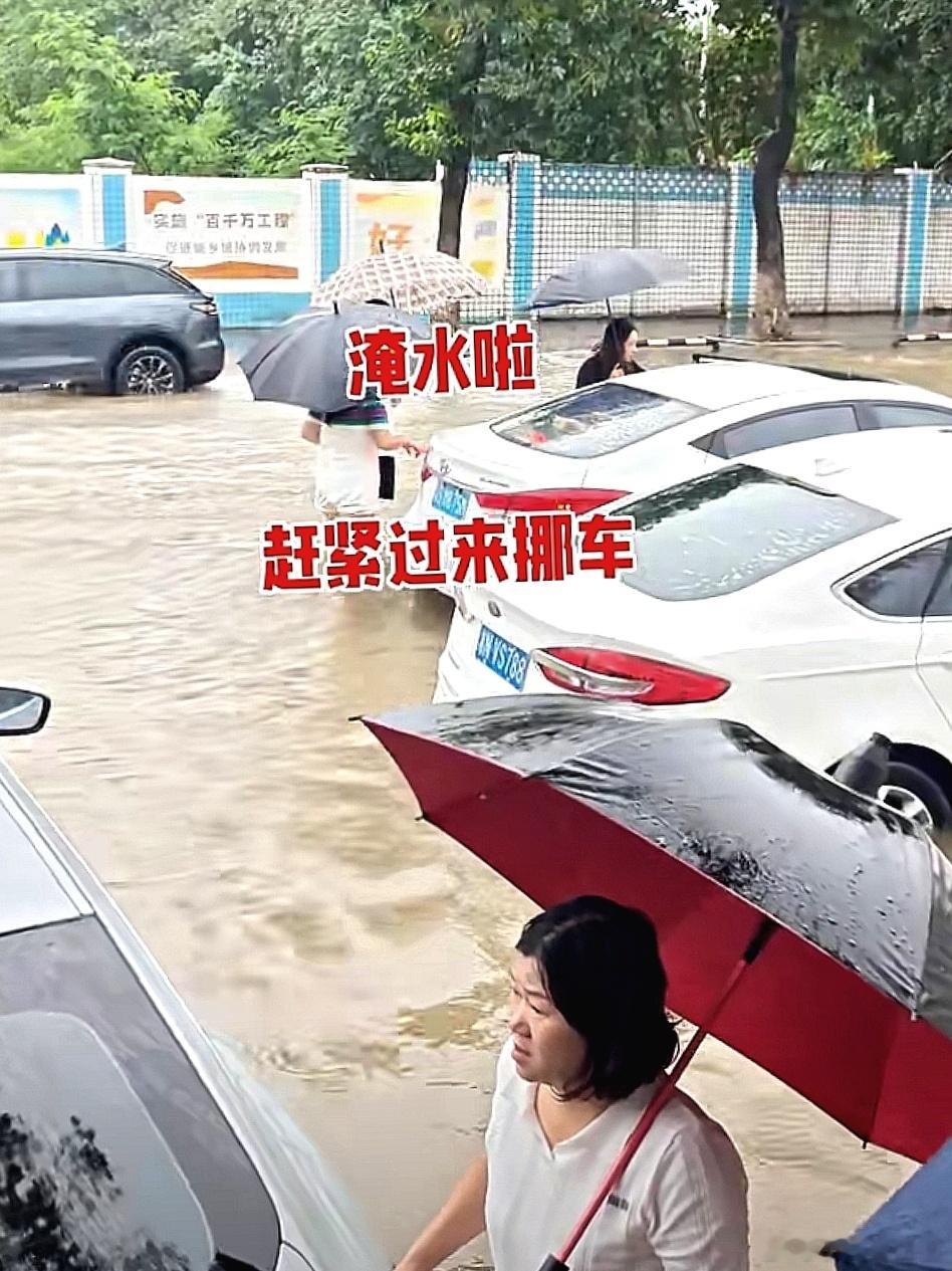 淹水啦，还不赶紧挪车 