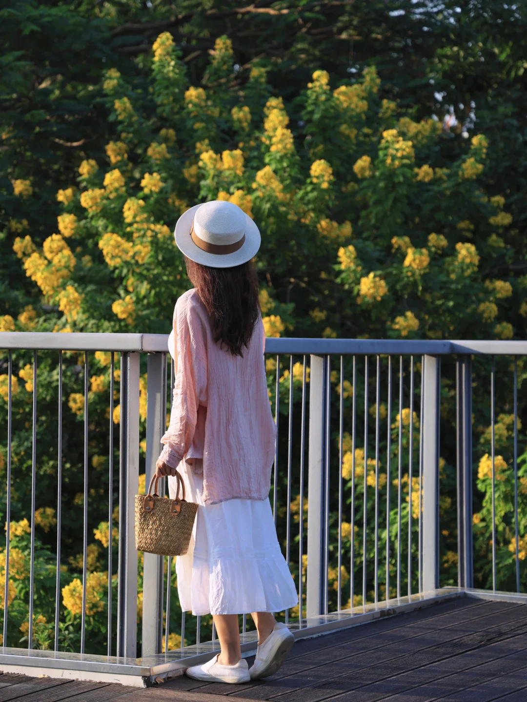 别去莲花山公园挤了，这里可以包场拍花