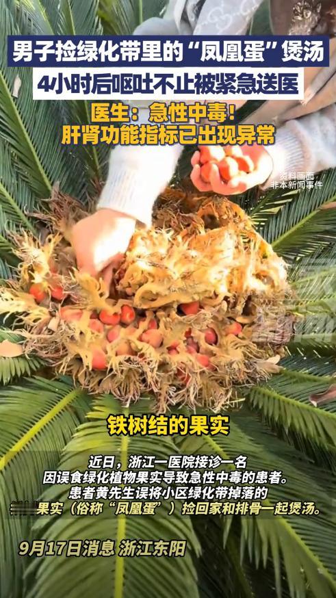 “丢人丢大了！”近日，浙江东阳，一男子路过小区绿化带时，看到地上有一堆红色的果实