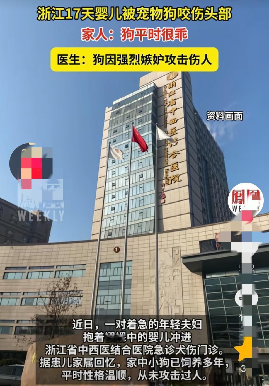 “医生！快救救我的孩子！头被狗咬了！”
深夜的急诊室，一对年轻夫妇跌跌撞撞地冲进