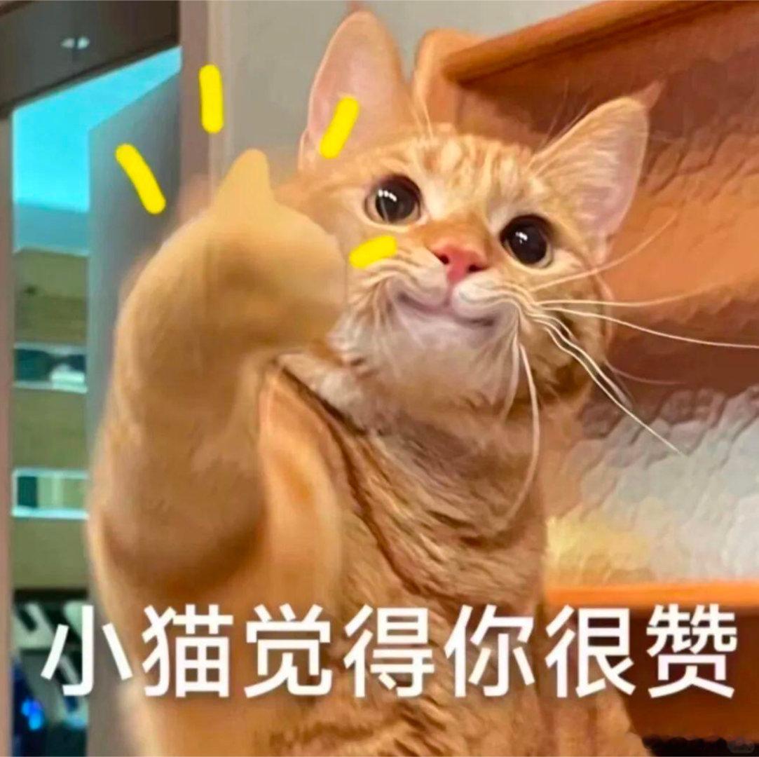 上海女生用AI卖床单月销百万 AI助力，让年轻人的创业之路更顺畅。上海的98年女