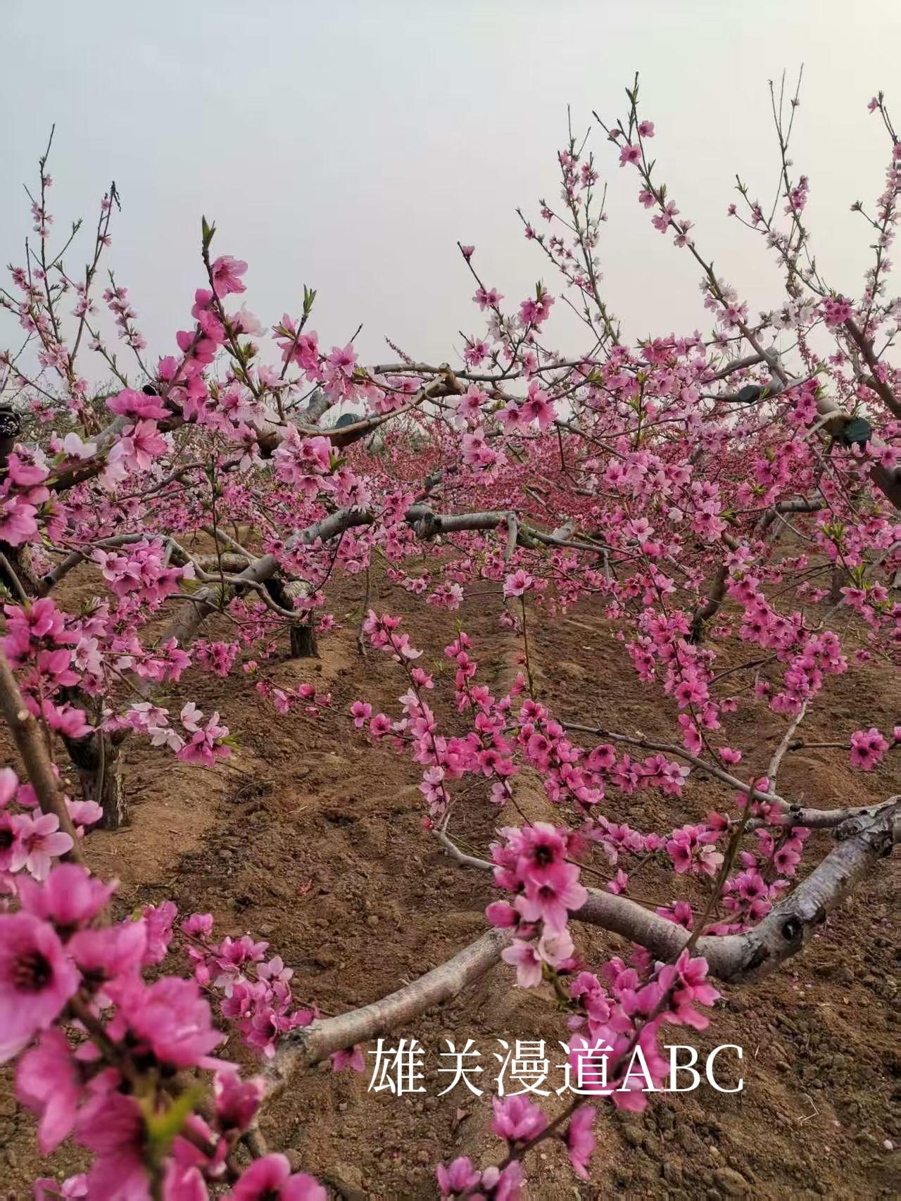 日央成映，映辉熠熠，熠熠金辉铺锦地；
又土为圣，圣人灿灿，灿灿银河通赤县。
又+